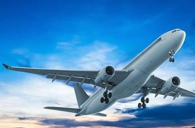 天津貨代公司為您詳解寵物空運流程